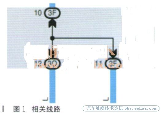 10.JPG