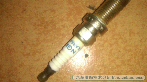 IMAG0010.jpg