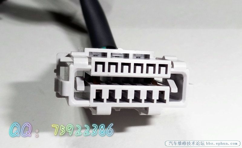 88_804563_a20a2b419ff00be.jpg