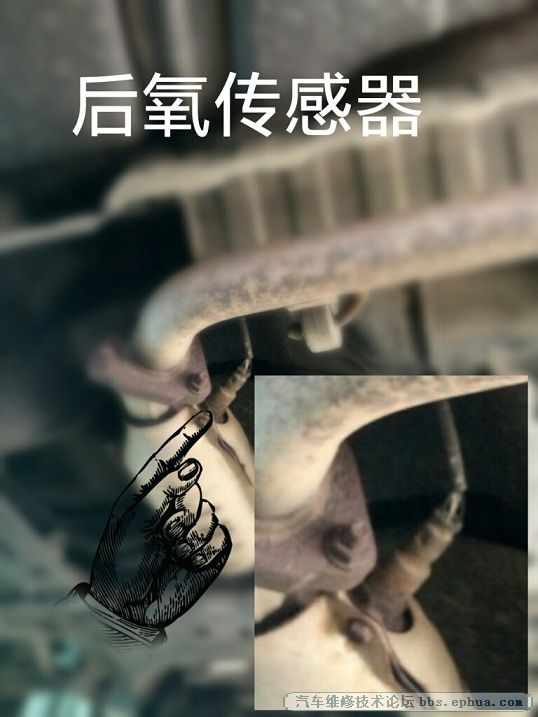 1005.jpg