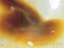 030db554b65b445f92fb7e2bd93b82e7.jpg