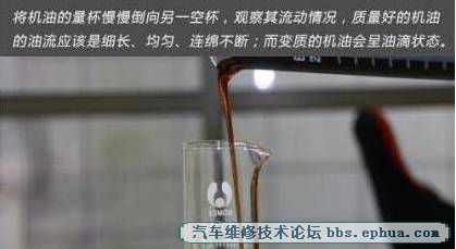 c443aff4b6b5408da2c98e2125fd0410.jpeg