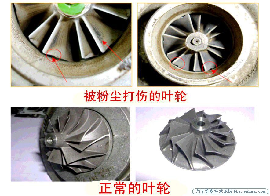 45c897d926a0417cad926b3eaa54b548_th.jpg