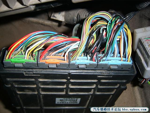 SV500088.jpg
