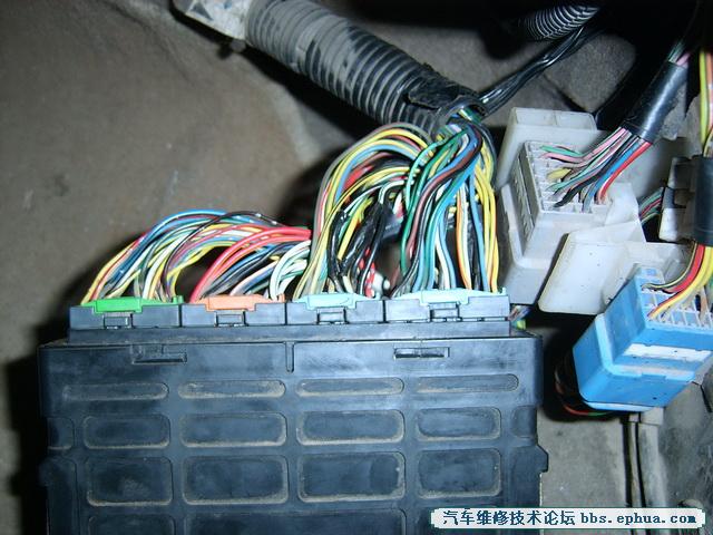 SV500098.jpg
