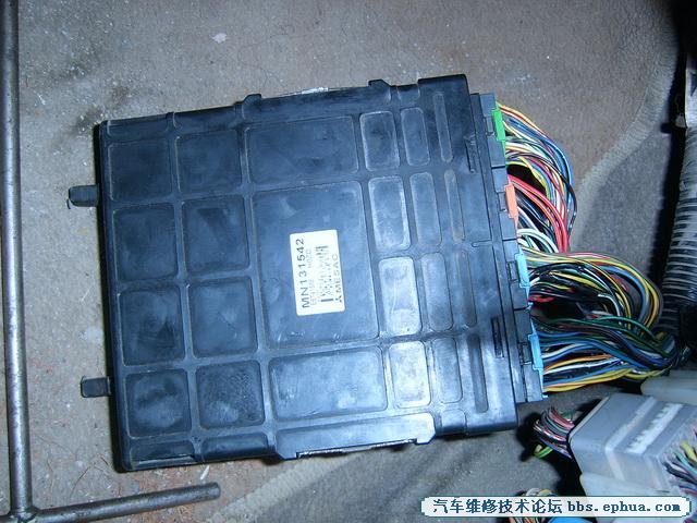 SV500087.jpg