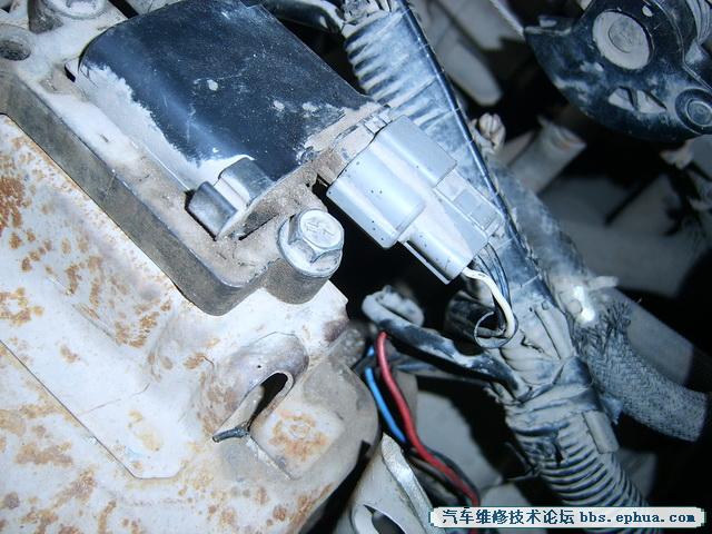 SV500086.jpg