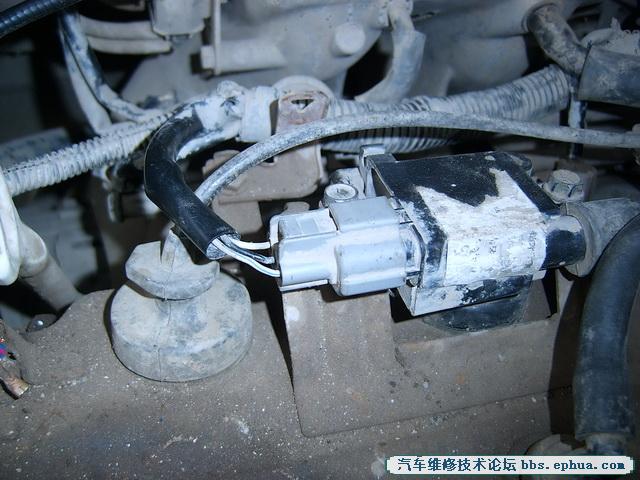 SV500085.jpg