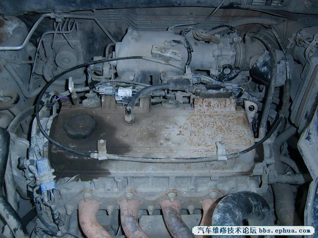 SV500099.jpg