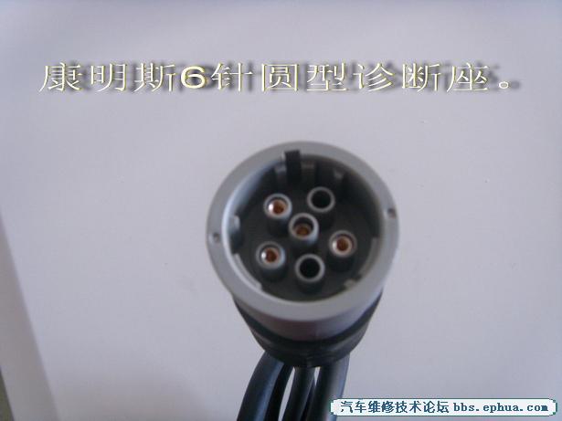 ST831271.jpg