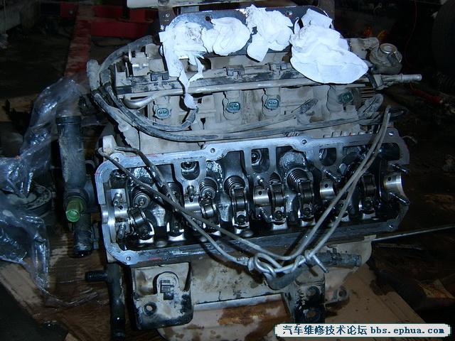 SV500116.jpg