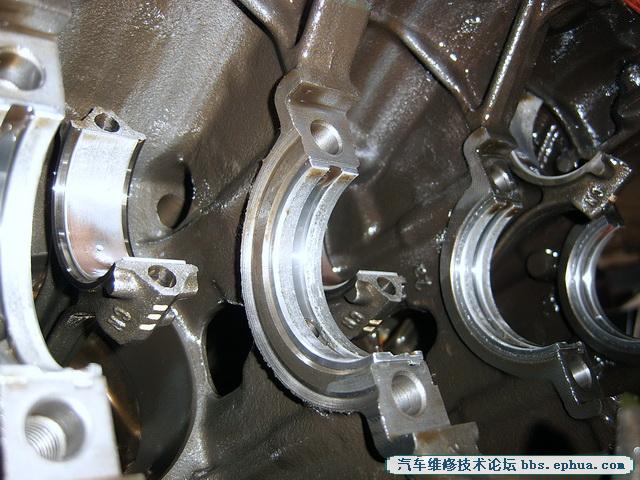 SV500130.jpg