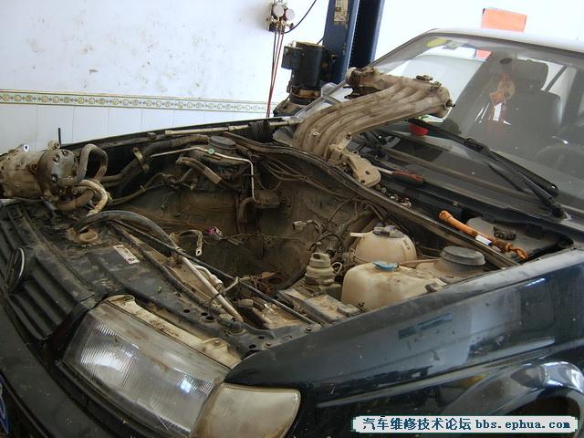 SV500118.jpg