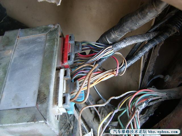 SV500136.jpg