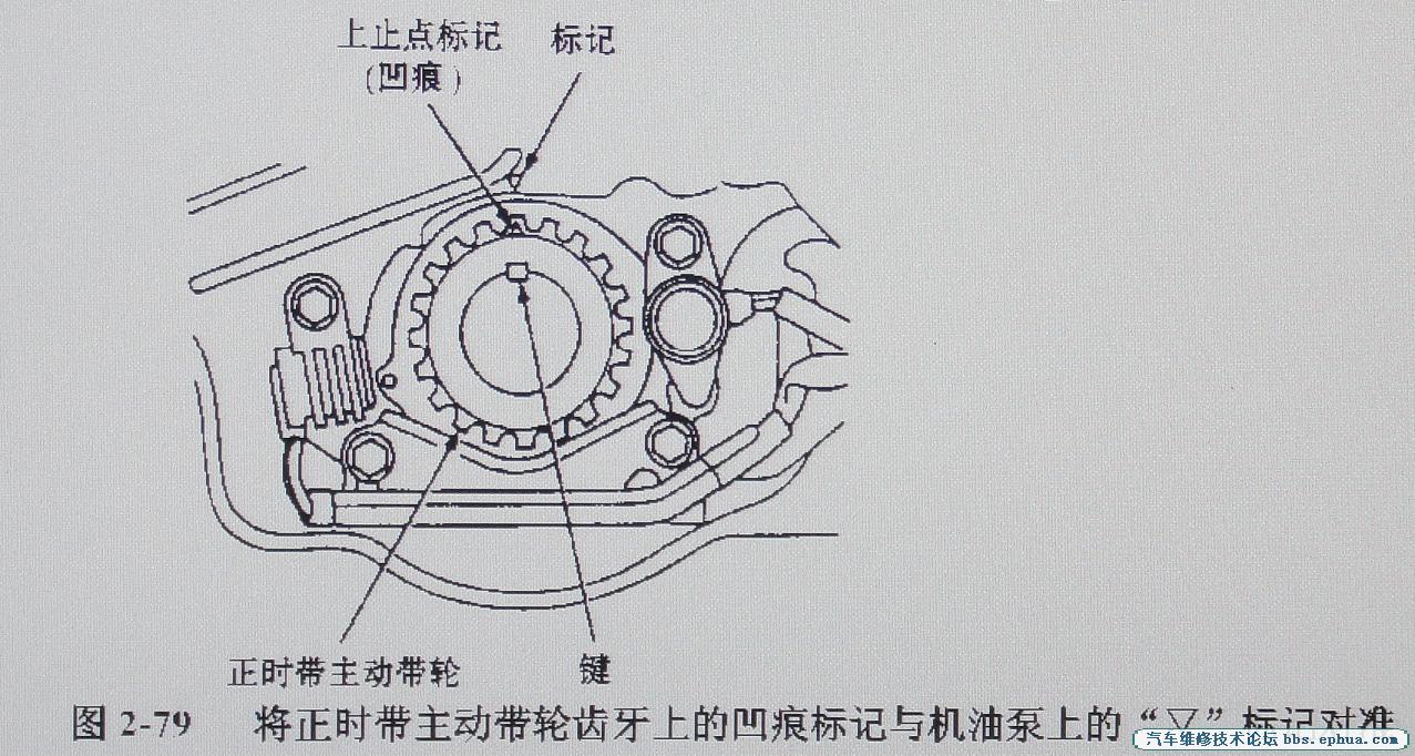DSC00580.jpg