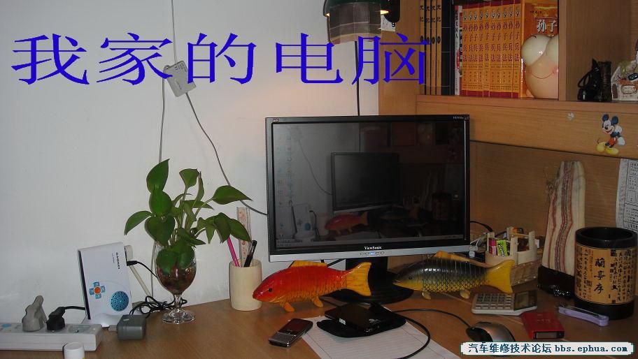 DSC00221.jpg