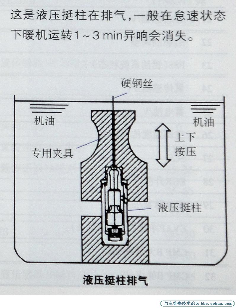 DSC00792.jpg