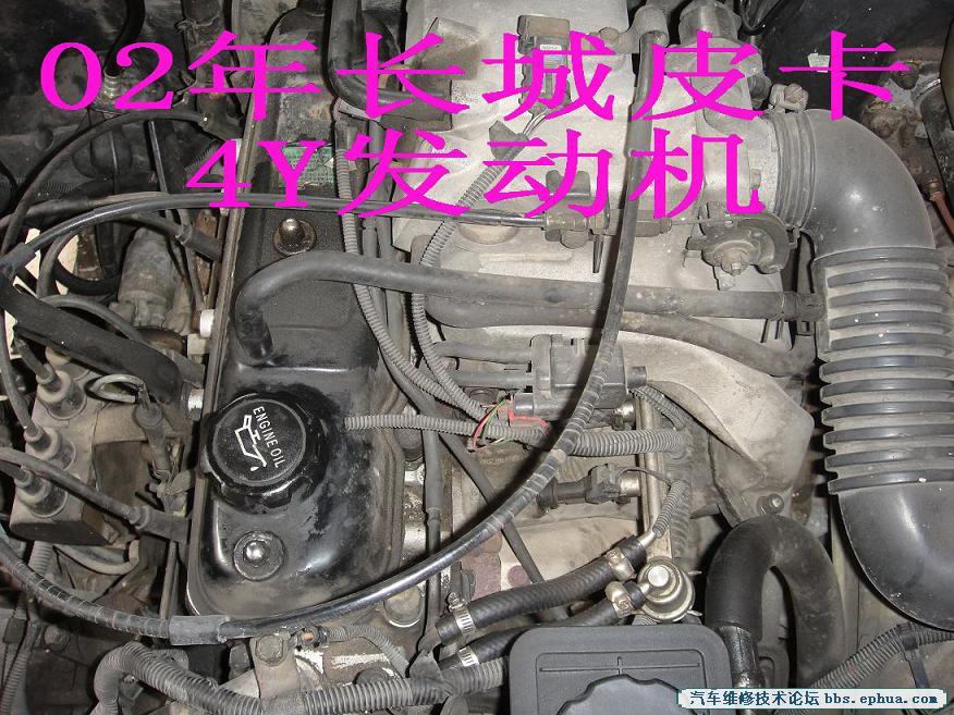 DSC00529.jpg