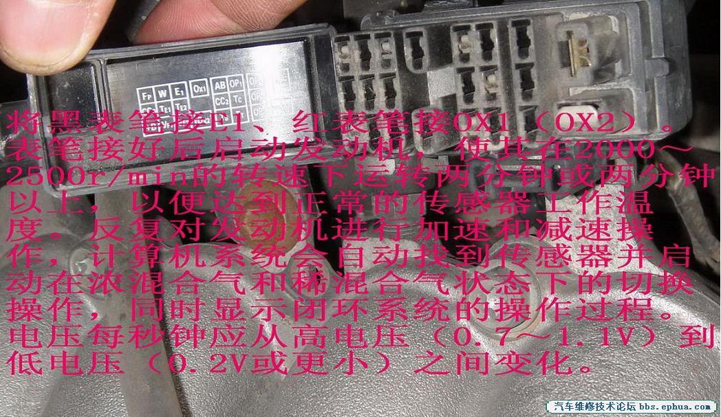DSC00762.jpg