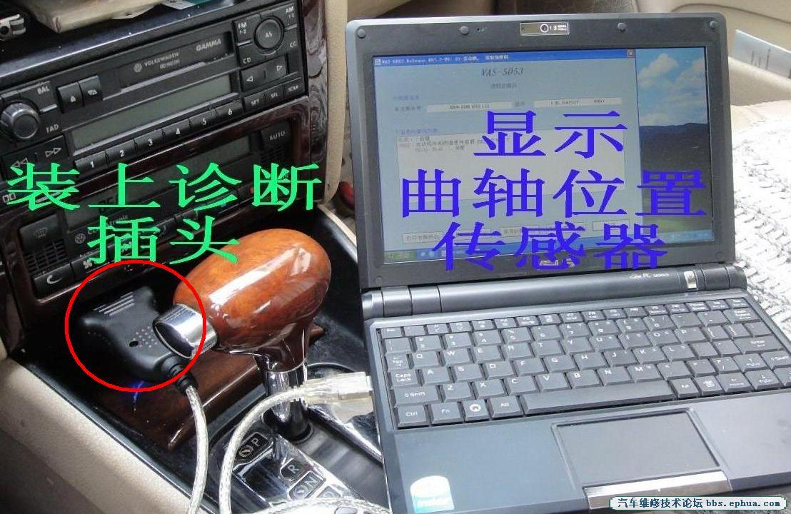 DSC00906.jpg