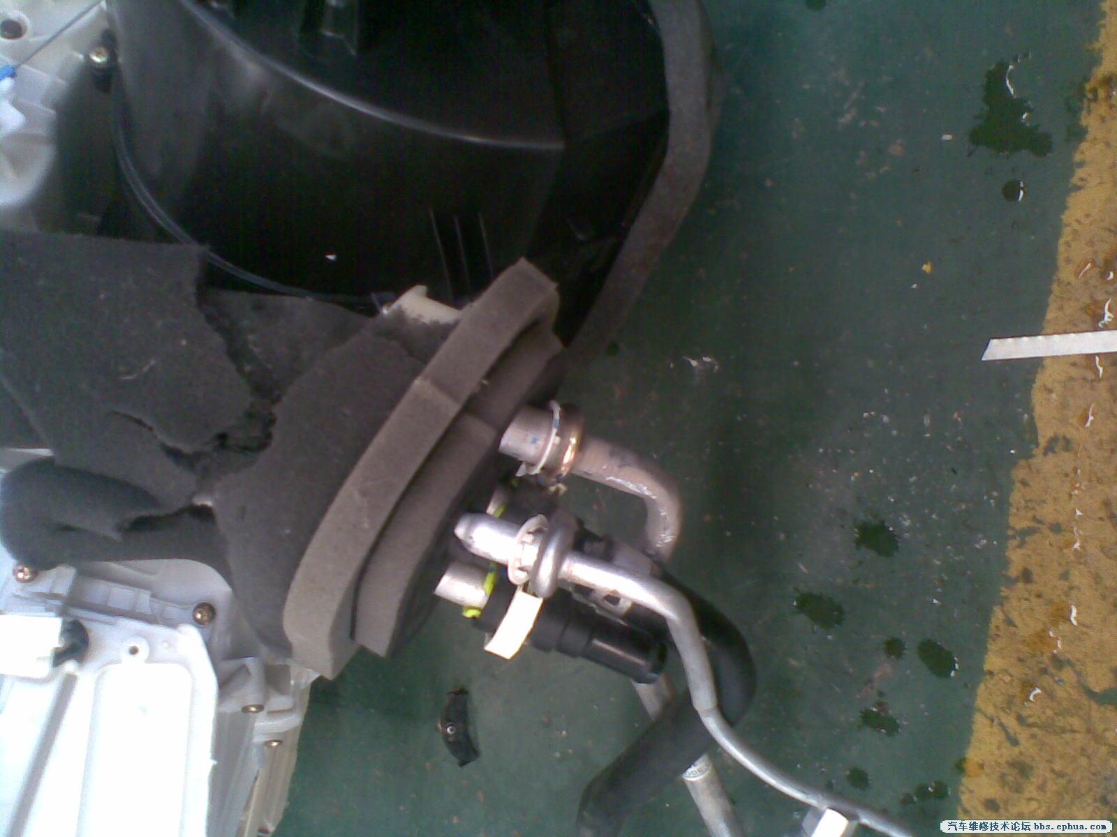 20100811(030).jpg