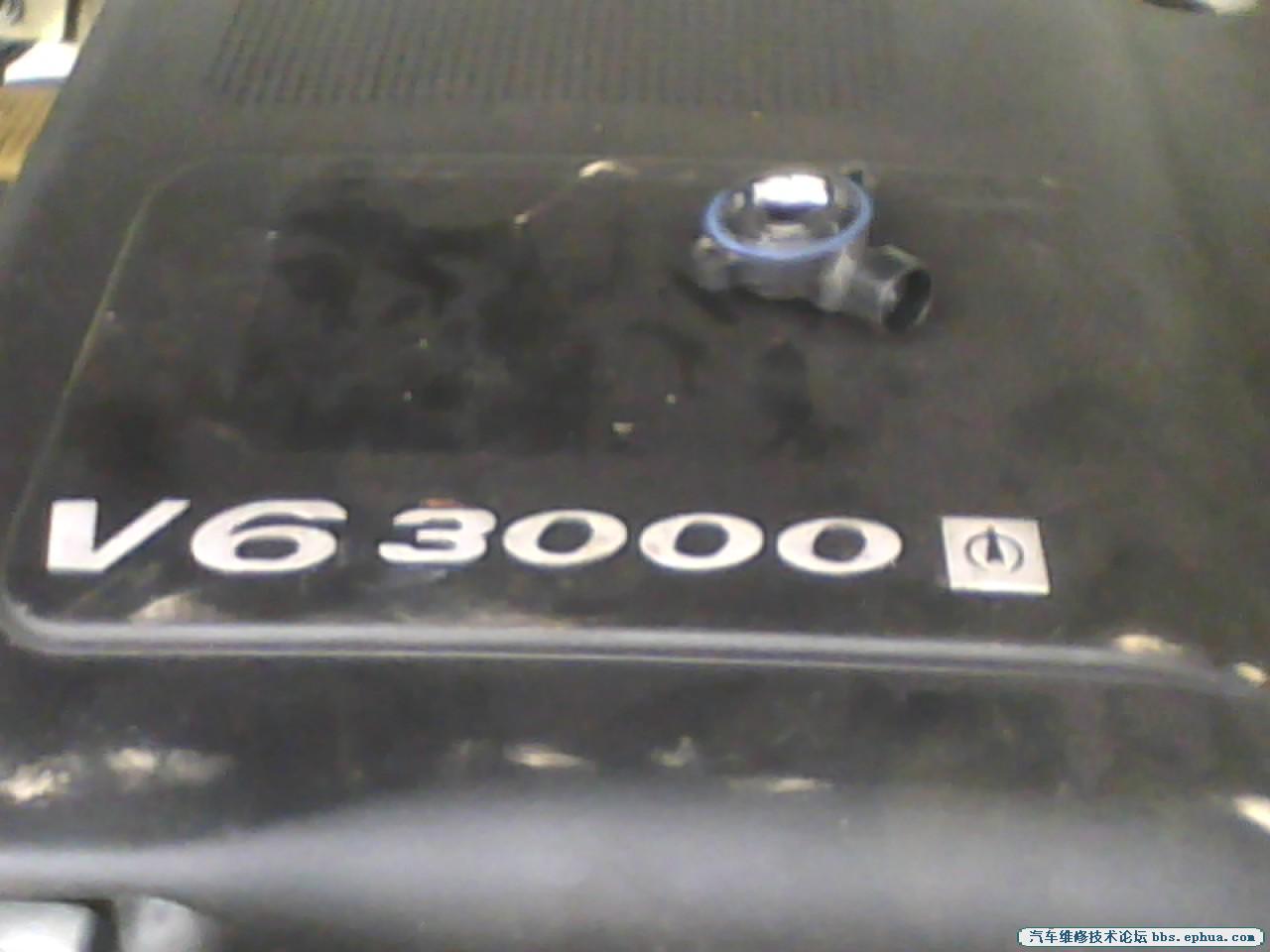IMG0089A.jpg