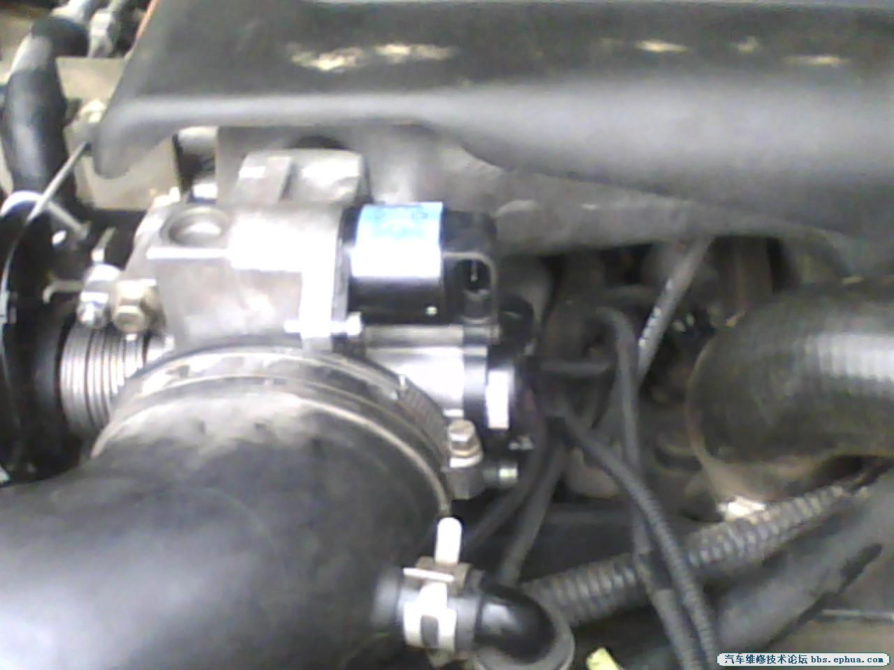 IMG0088A.jpg