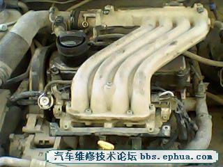 IMG0103A.jpg