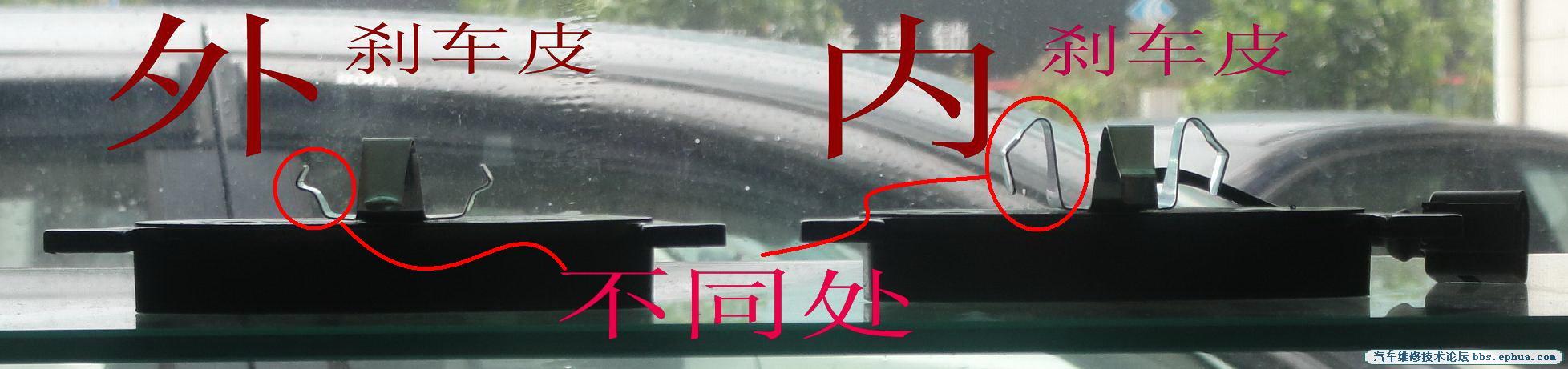 DSC01513.jpg