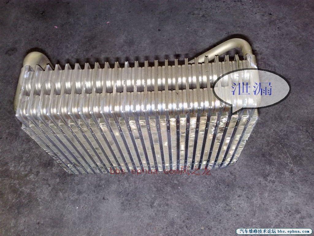20101021729 ().jpg
