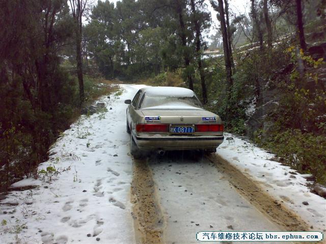 20101215005 (С).jpg