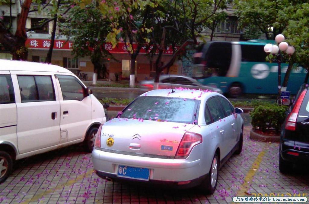 0842180g321urazhi1zrg7 ().jpg