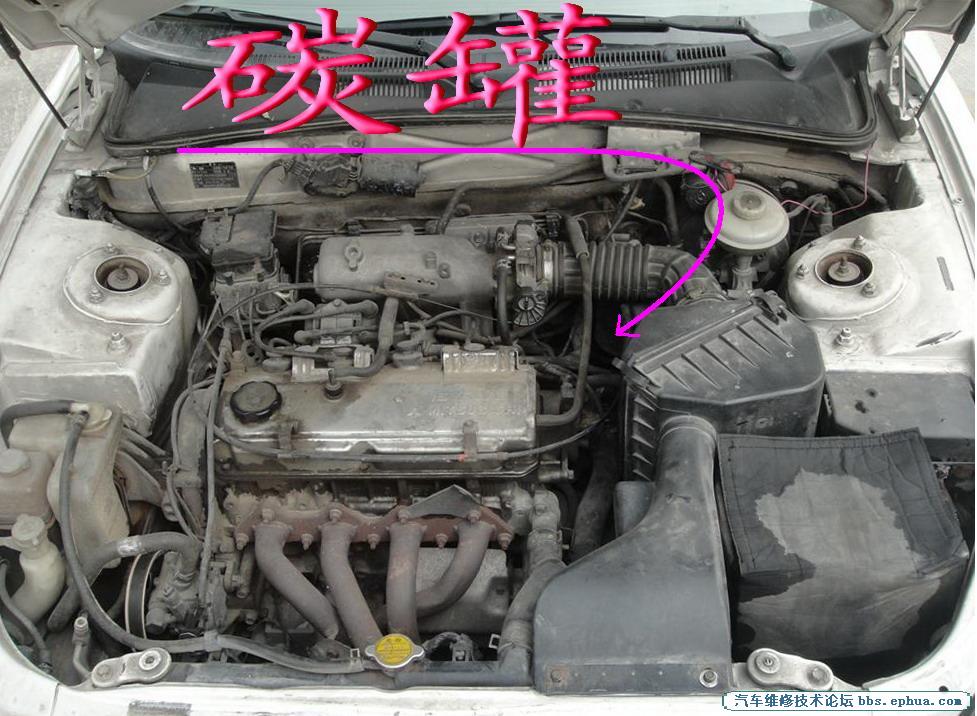 DSC02372 ().jpg