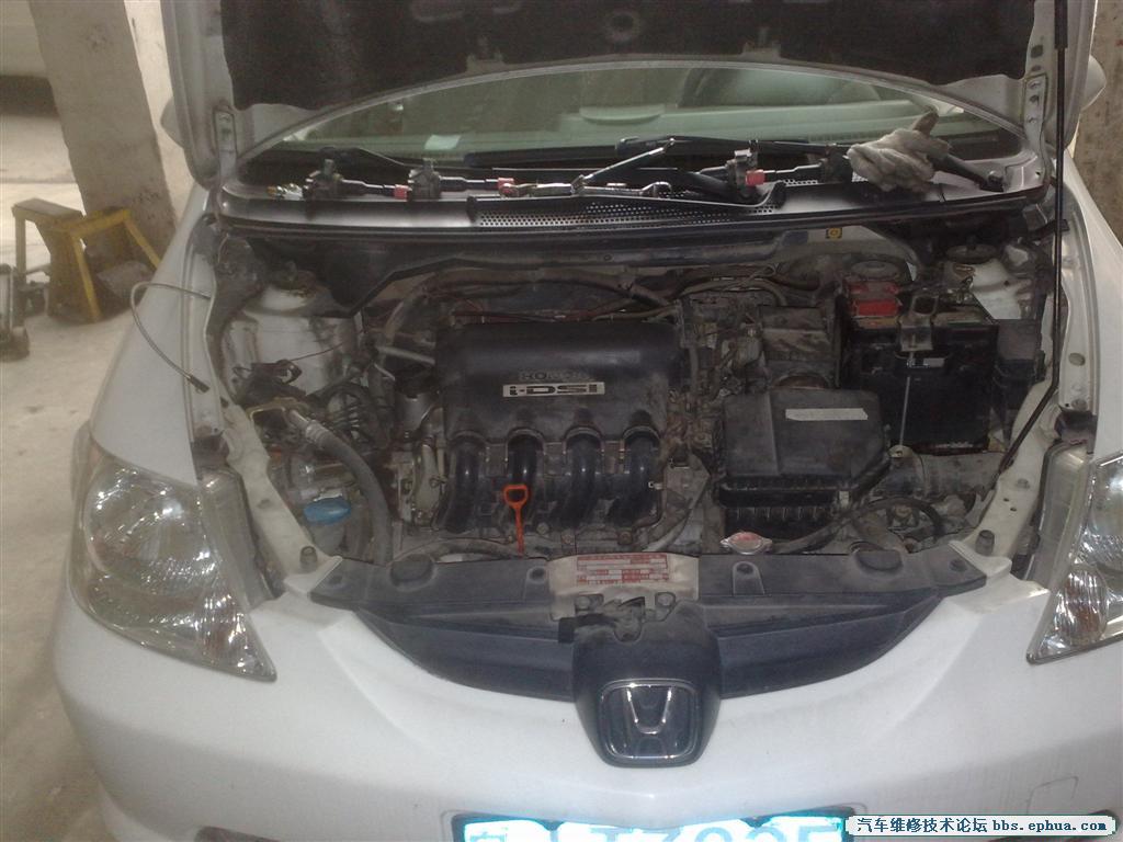 20110223875 ().jpg