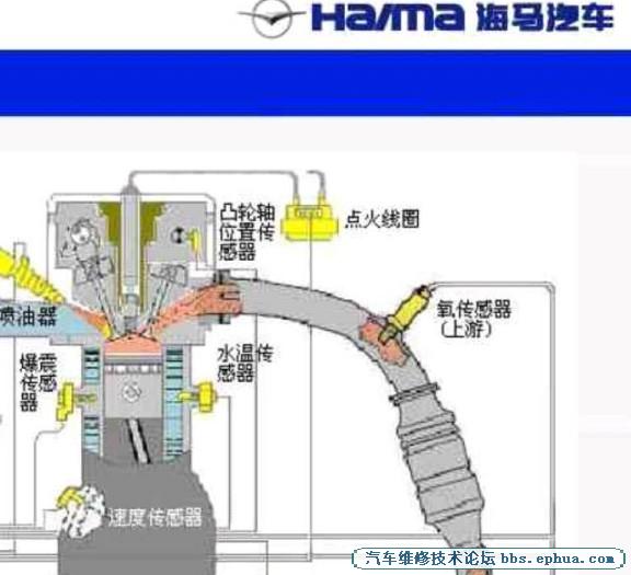 海马丘比特