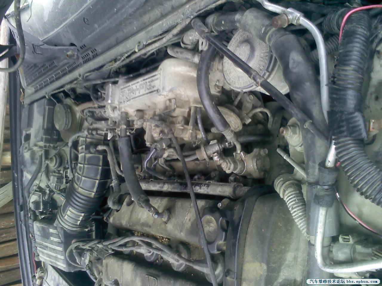 110424001.jpg