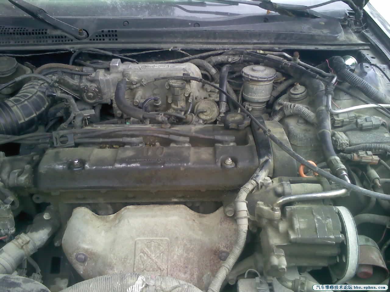 110424000.jpg