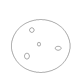 1111111111111.JPG