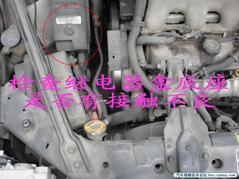 DSC00914 ().jpg