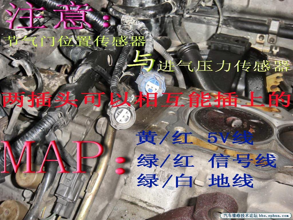 4 ().jpg