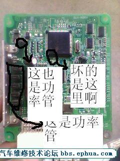 49_26381_89e2f52cd2ecf39.jpg
