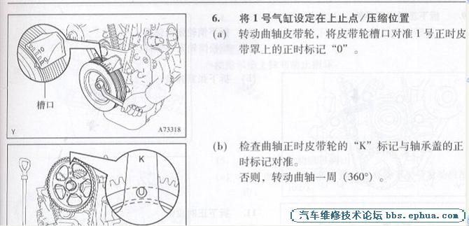 8A.jpg
