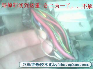 IMG0679A_.jpg