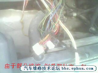 IMG0663A_.jpg