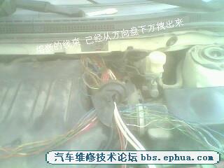IMG0643A_.jpg