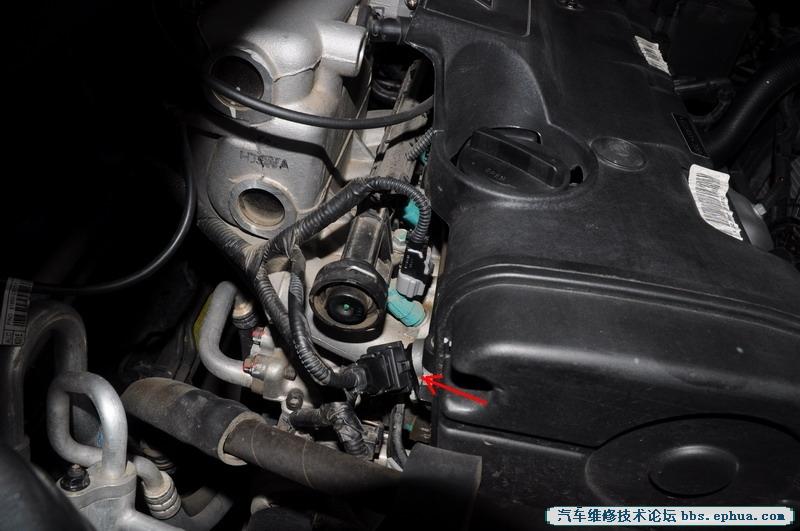 DSC_5795_conew2.jpg