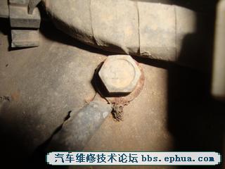 DSC06008.JPG