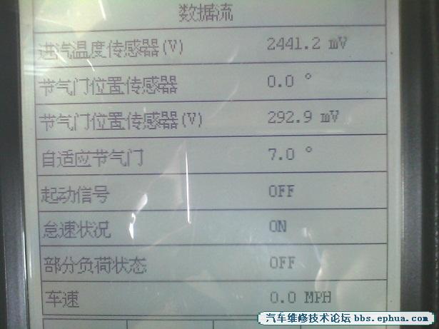 05.jpg