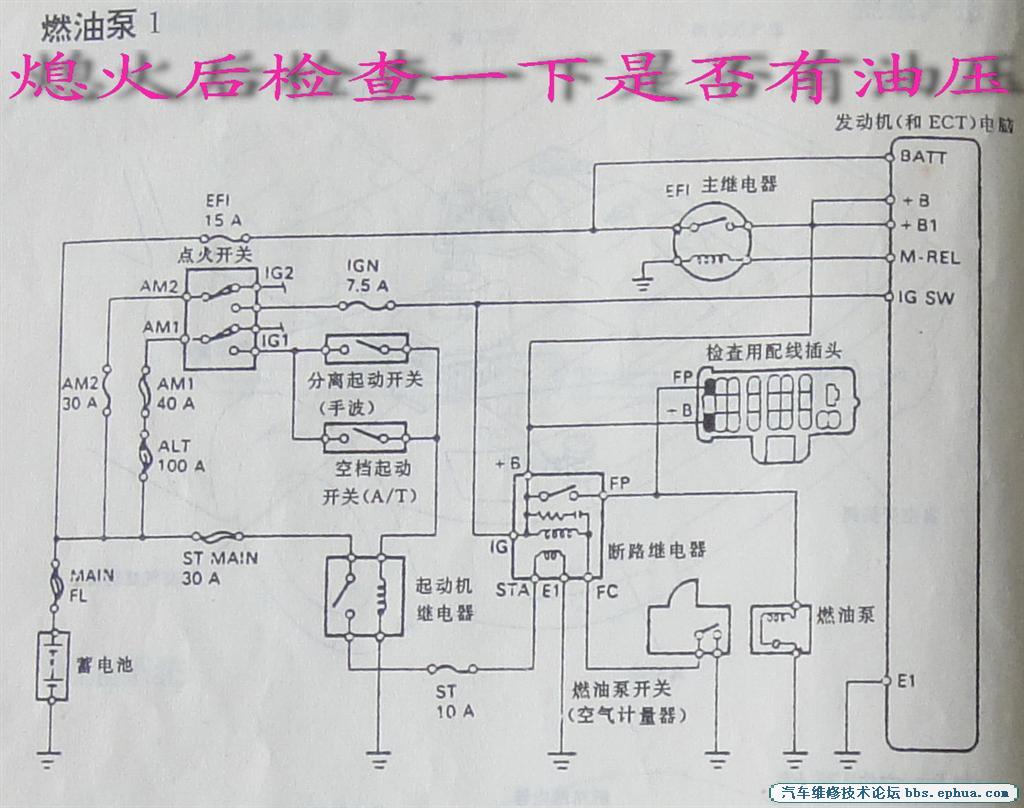 DSC06050.jpg