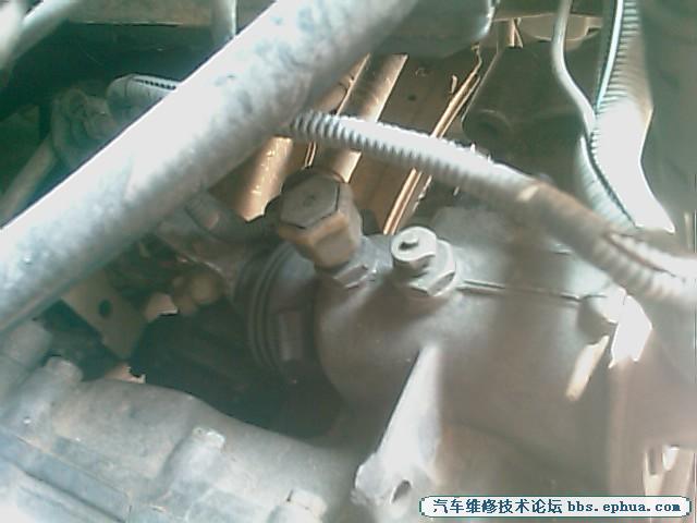 IMAG0072.jpg